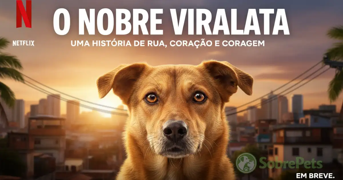 O Fenômeno 'Caramelo':